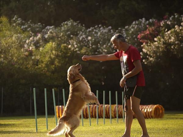 Vascellero Club Resort - foto 51340.jpg