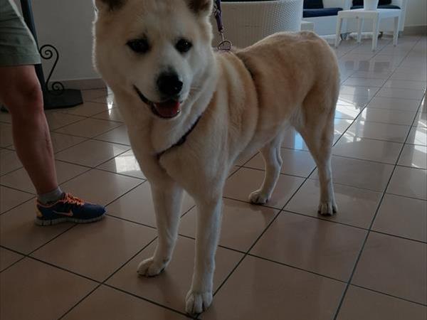 Mini-Hotel - foto 51361.jpg