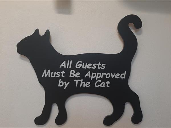 Principe Calaf 3 - foto 51363.jpg