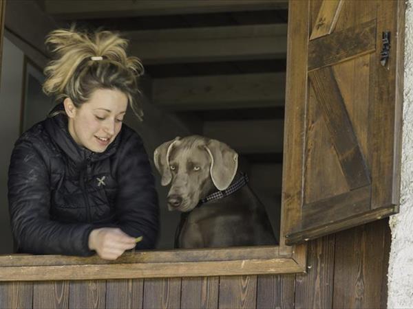 Chalet Baita nel bosco Ledro - foto 51484.jpg