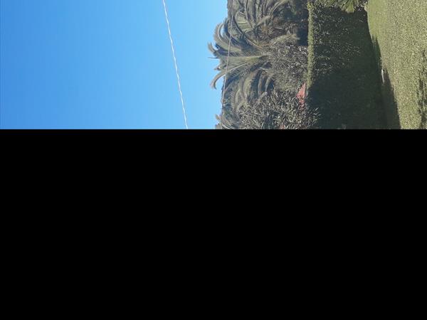 Villa Mola - foto 51574.jpg