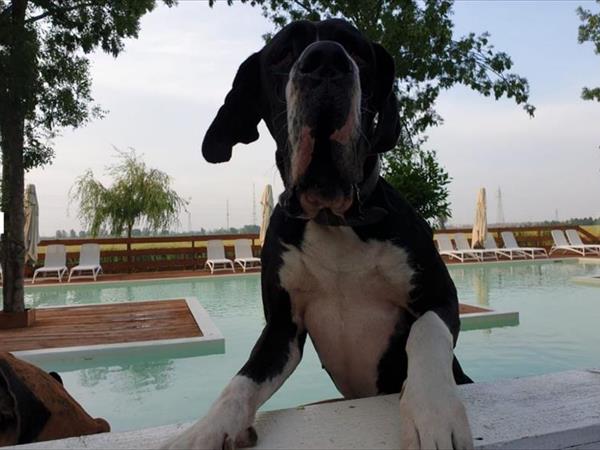 Casolare Le Civette - foto 51611.jpg