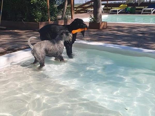 Casolare Le Civette - foto 51613.jpg