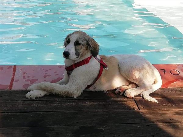 Casolare Le Civette - foto 51614.jpg