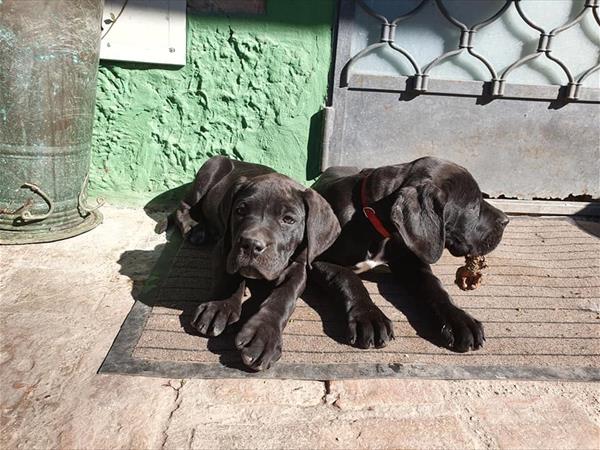 Casolare Le Civette - foto 51615.jpg