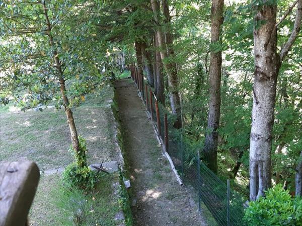 Villino nel Bosco - foto 51636.jpg