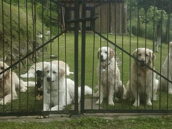 Villino nel Bosco - foto 51639.jpg