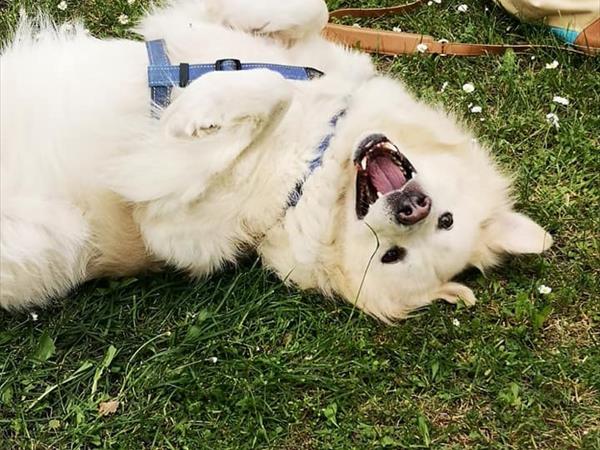 Agriturismo Domus Santa Croce - foto 51651.jpg