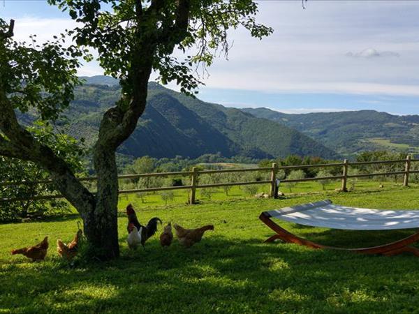 Agriturismo La Fontaccia - foto 51673.jpg