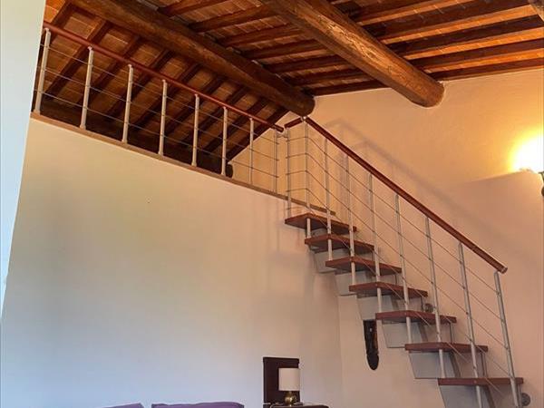 Parco della Sterpaia - Appartamenti Vacanza - foto 51754.jpg