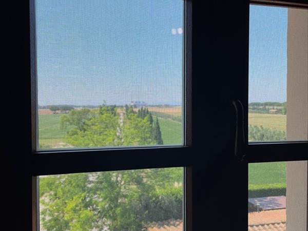 Parco della Sterpaia - Appartamenti Vacanza - foto 51775.jpg