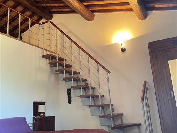 Parco della Sterpaia - Appartamenti Vacanza - foto 51789.jpg