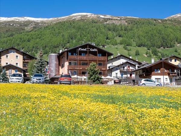 Hotel Galli - foto 51882.jpg