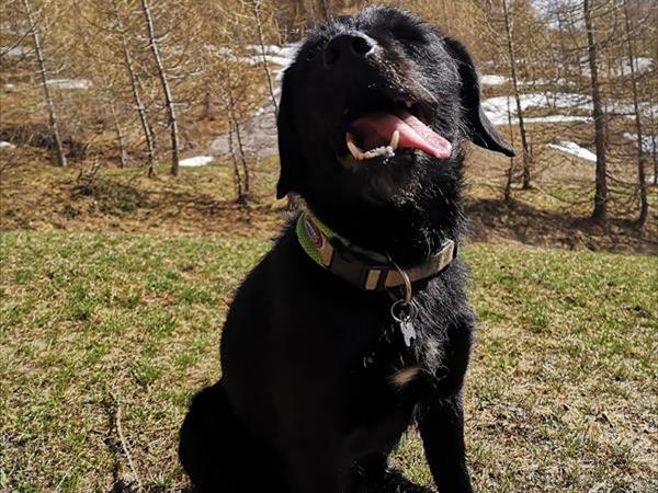 Hotel Galli - foto 51884.jpg