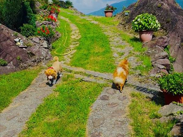 La Casa del Sole - foto 51975.jpg