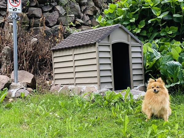 La Casa del Sole - foto 51977.jpg