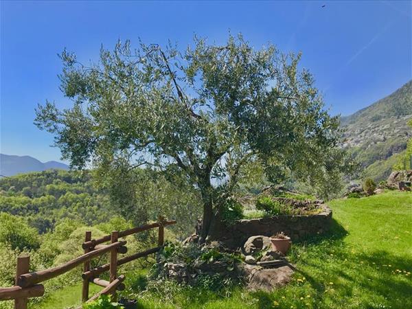 La Casa del Sole - foto 51981.jpg