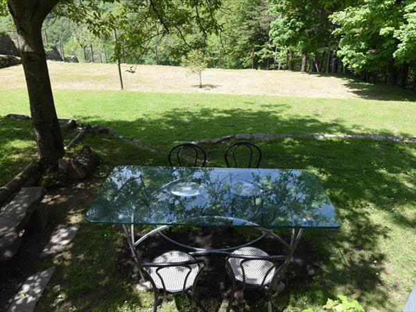 Villino nel Bosco - foto 52135.jpg