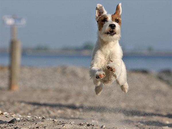 Club del Sole Tenuta Primero Resort - foto 52166.jpg