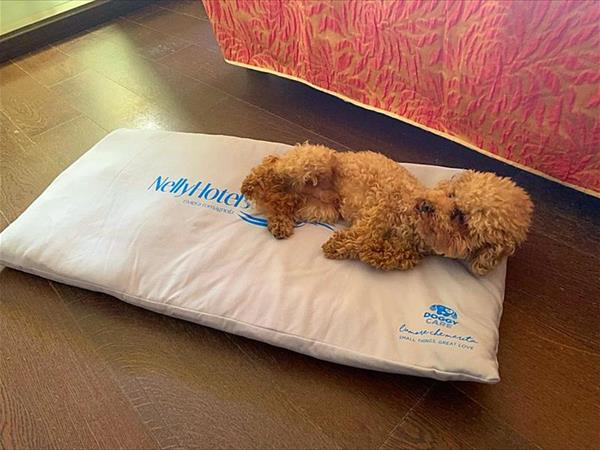 Hotel Imperiale - foto 52255.jpg