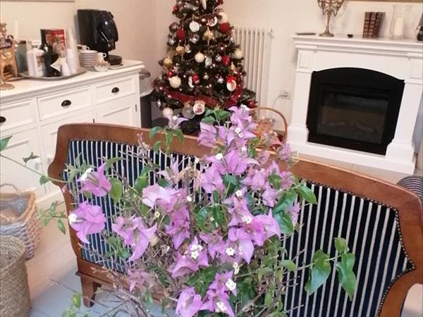 Hotel Imperiale - foto 52258.jpg