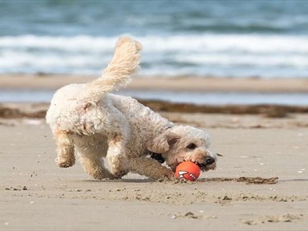 Hotel Imperiale - foto 52261.jpg