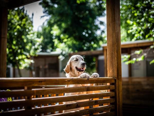 Centro Vacanze Villaggio San Francesco - foto 52265.jpg