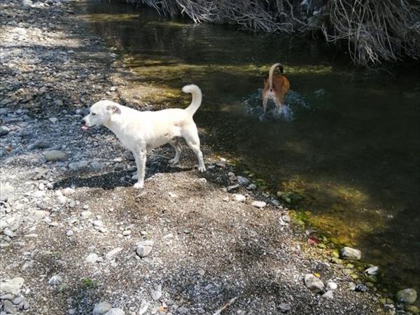 La Torretta - foto 52296.jpg