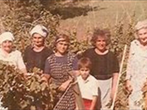 Agriturismo Vasari - foto 52369.jpg