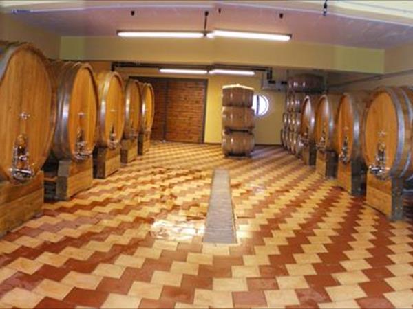 Agriturismo Vasari - foto 52370.jpg