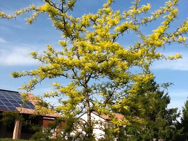 Agriturismo Alla Casella - foto 52439.jpg