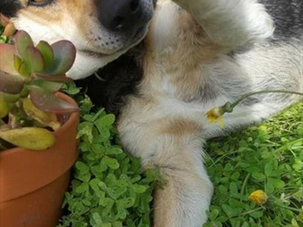 Agriturismo Barna - foto 52441.jpg