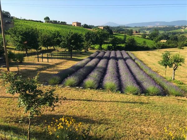 Metina - foto 52478.jpg