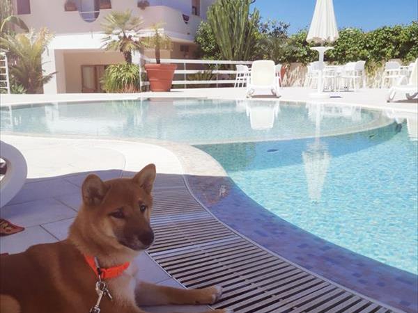 Lido La Praia - foto 52479.jpg