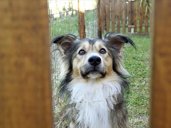 Residence Podere San Giuseppe - foto 52489.jpg