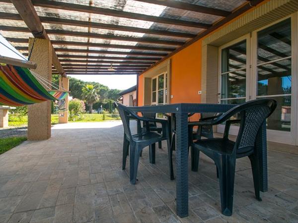 Fattoria Palazzeta  - foto 52510.jpg