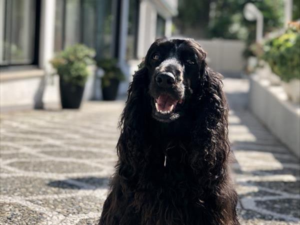 Hotel Helios - foto 52532.jpg