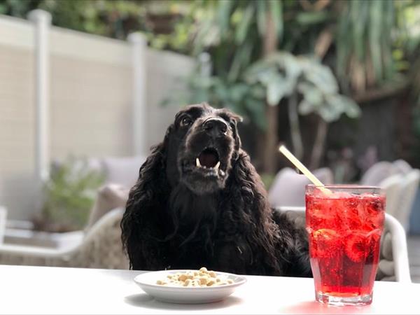 Hotel Helios - foto 52533.jpg