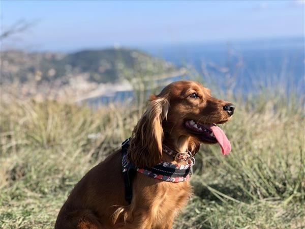 Hotel Helios - foto 52537.jpg