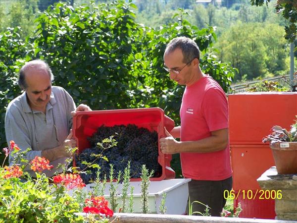 Agriturismo Pedrosola - foto 52581.jpg