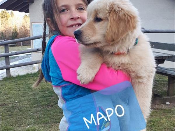 Hotel Ortles - foto 52693.jpg