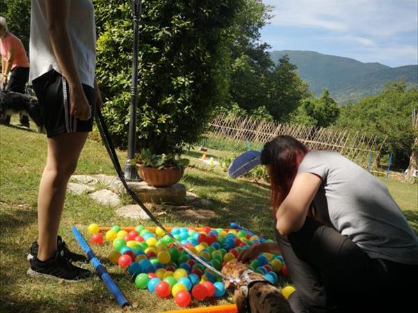 Agriturismo La Conca Pescara - foto 52721.jpg