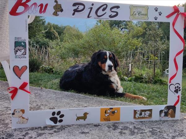 Agriturismo La Conca Pescara - foto 52722.jpg