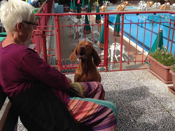 Campeggio Le Soline - foto 52727.jpg