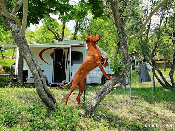 Campeggio Le Soline - foto 52728.jpg