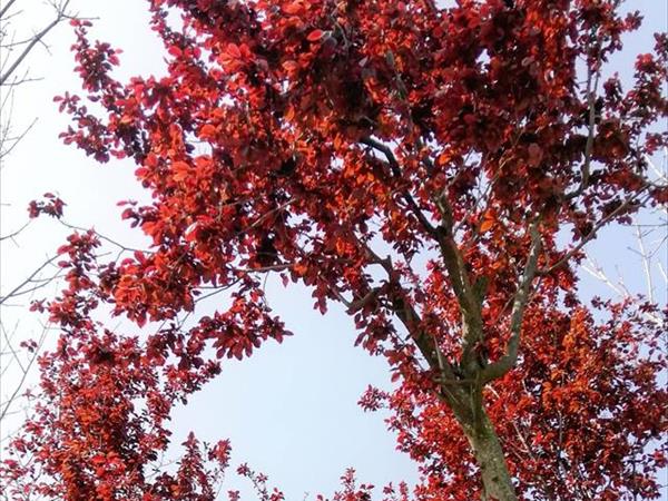 Country House Una - foto 52765.jpg