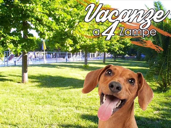 Country House Una - foto 52767.jpg