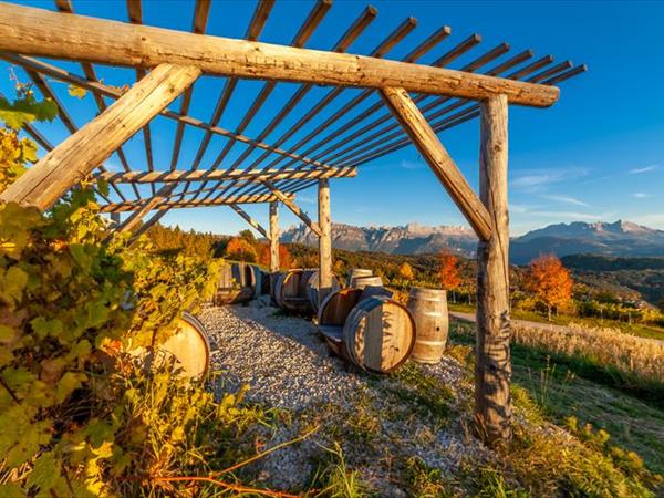 Hotel Naturidylle Geyrerhof - foto 52948.jpg