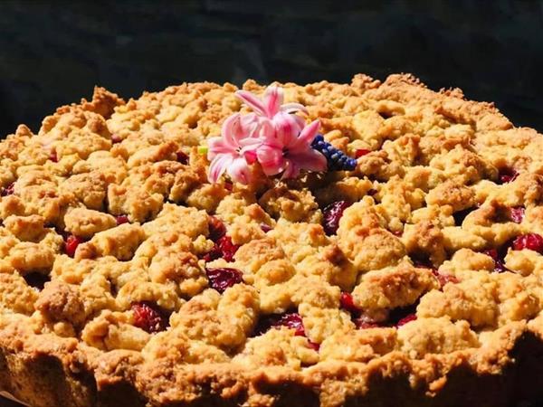 Agriturismo Le Querciole - foto 52962.jpg