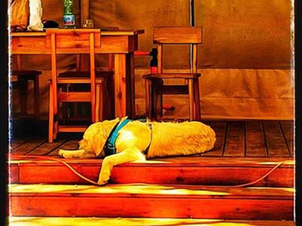 Camping Maremma Sans Souci - foto 53012.jpg